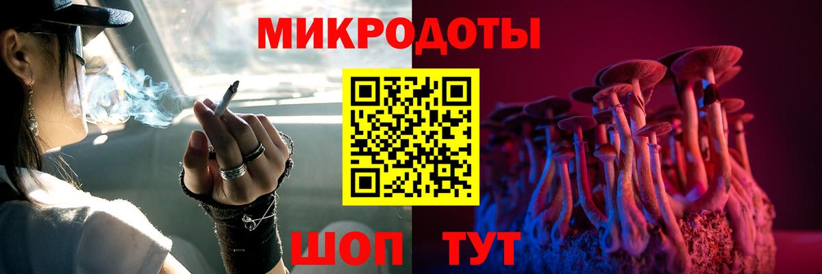 Корсаков  Галлюциногенные грибы MAGIC MUSHROOMS  Вход с VPN 